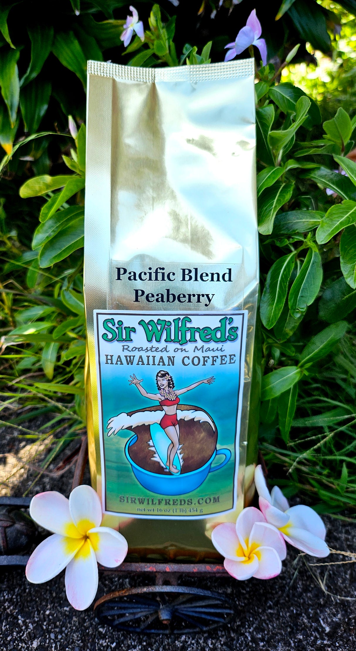 Pacific Blend Peaberry