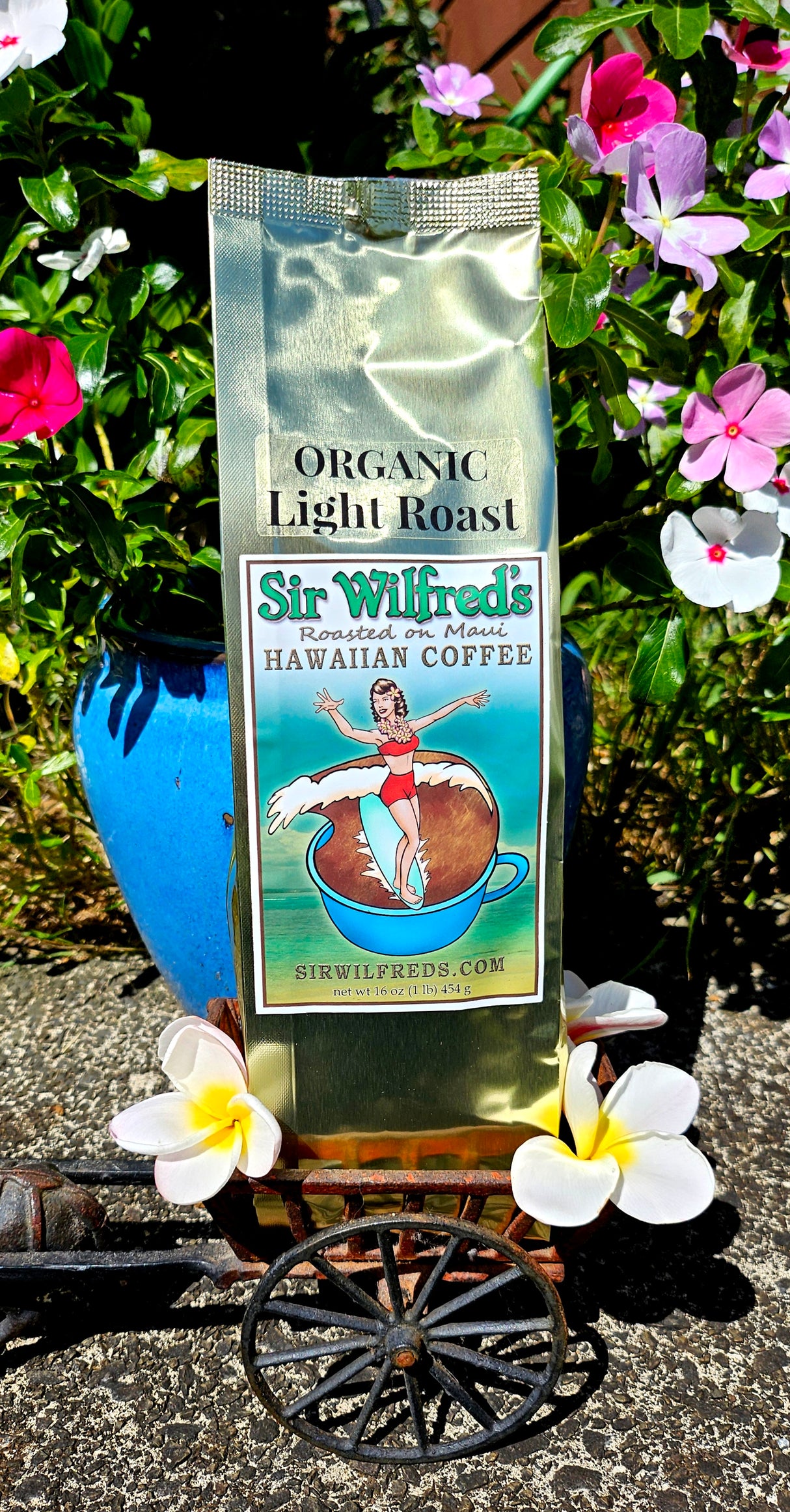 Organic Light