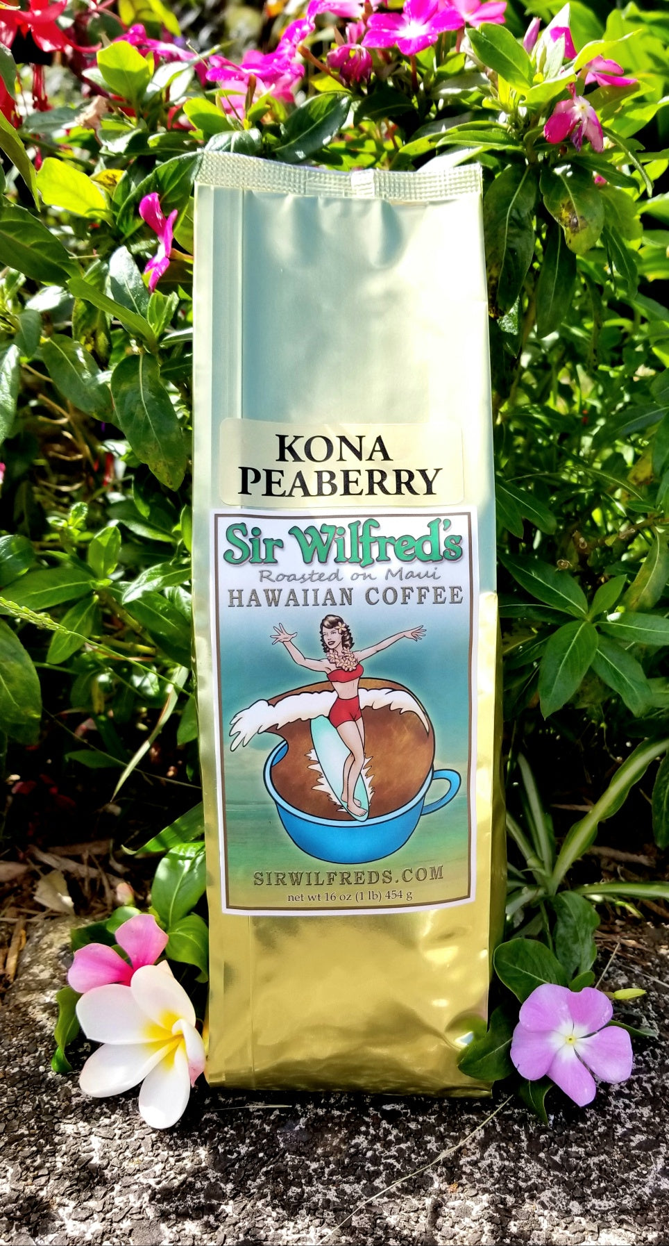 Kona Peaberry (contact us for availability)