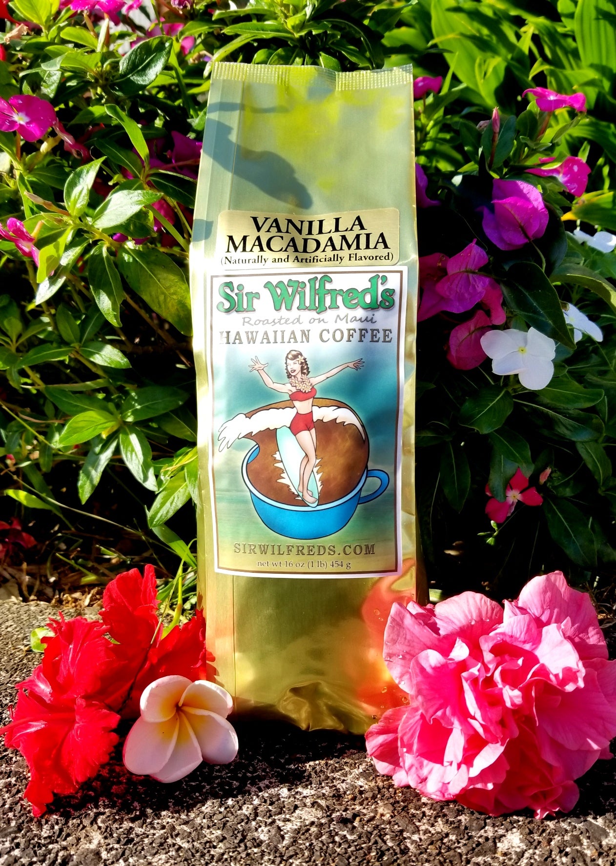 Vanilla Macadamia Nut – Sir Wilfred's Coffee of Maui